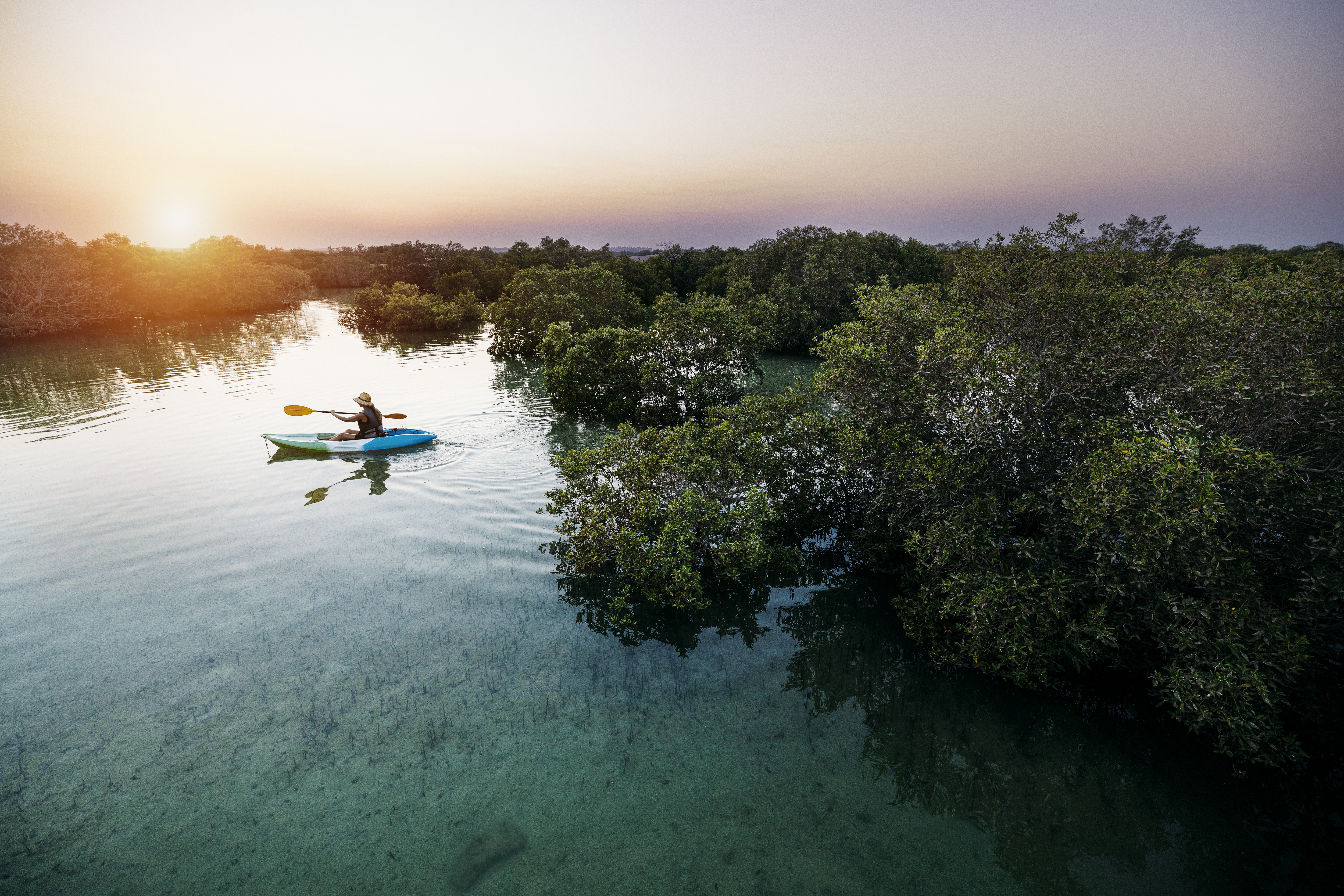 Woman on a blue and green kayak amidst mangroves trees in Mangrove National Park